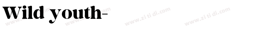 Wild youth字体转换